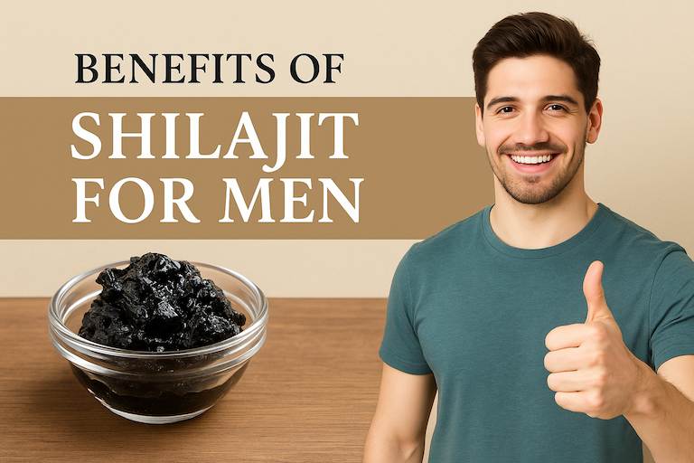 Benefits of Shilajit for Men